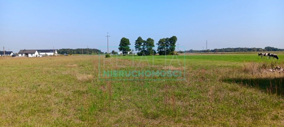Działka budowlana Grodzisk Mazowiecki