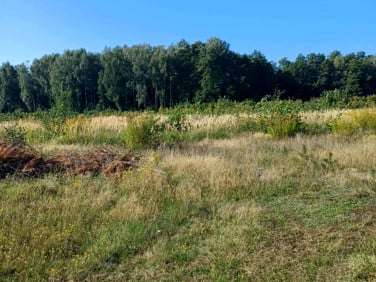 Działka budowlana Wielka Wieś