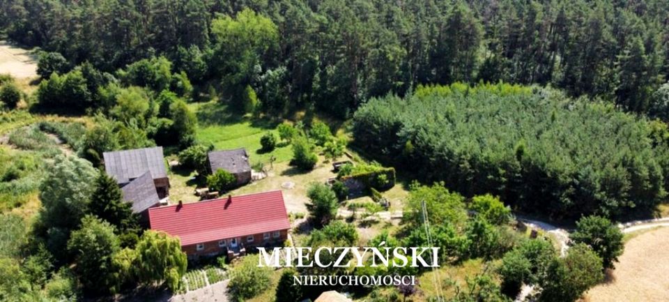 Dom Płośno