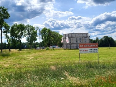 Działka rolna Kuriany