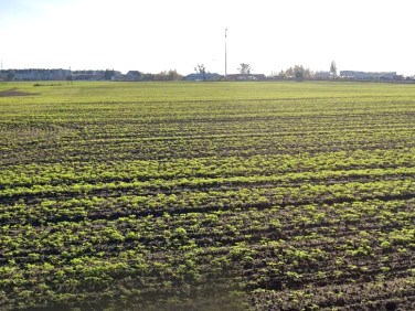 Działka inwestycyjna Toruń