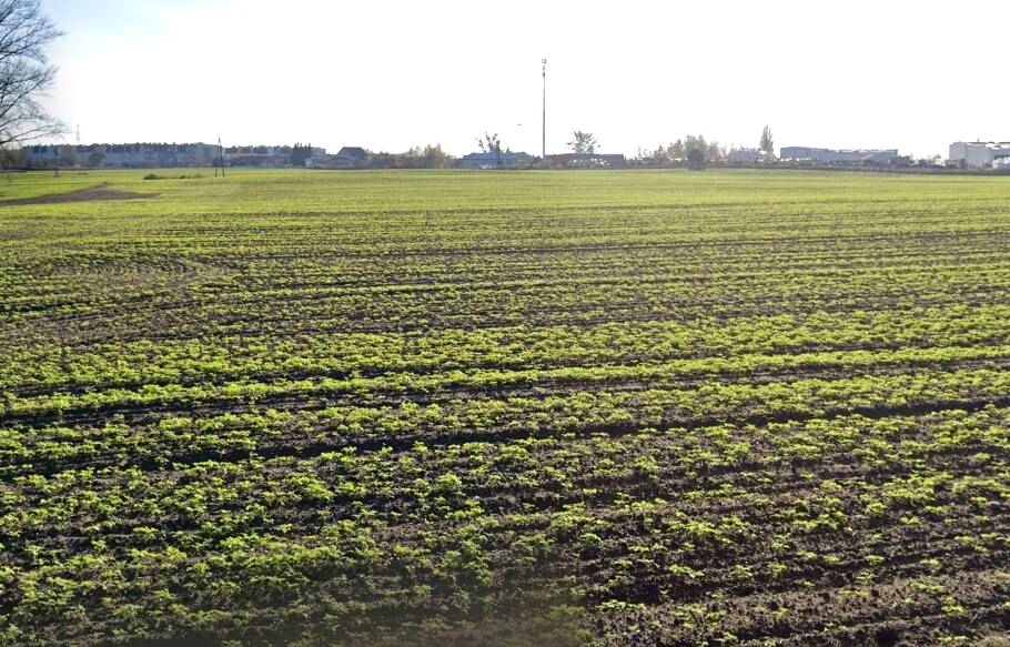 Działka inwestycyjna Toruń