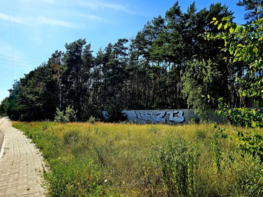 Zdjęcie 3