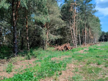 Działka budowlana Wierzyce sprzedam