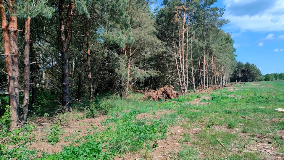 Działka budowlana Wierzyce sprzedam