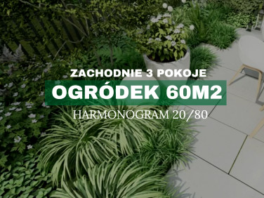 Mieszkanie Katowice