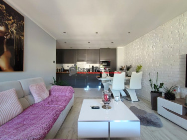 Mieszkanie Wałbrzych sprzedaż