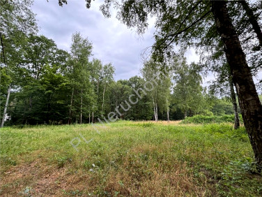 Działka Adamów-Wieś