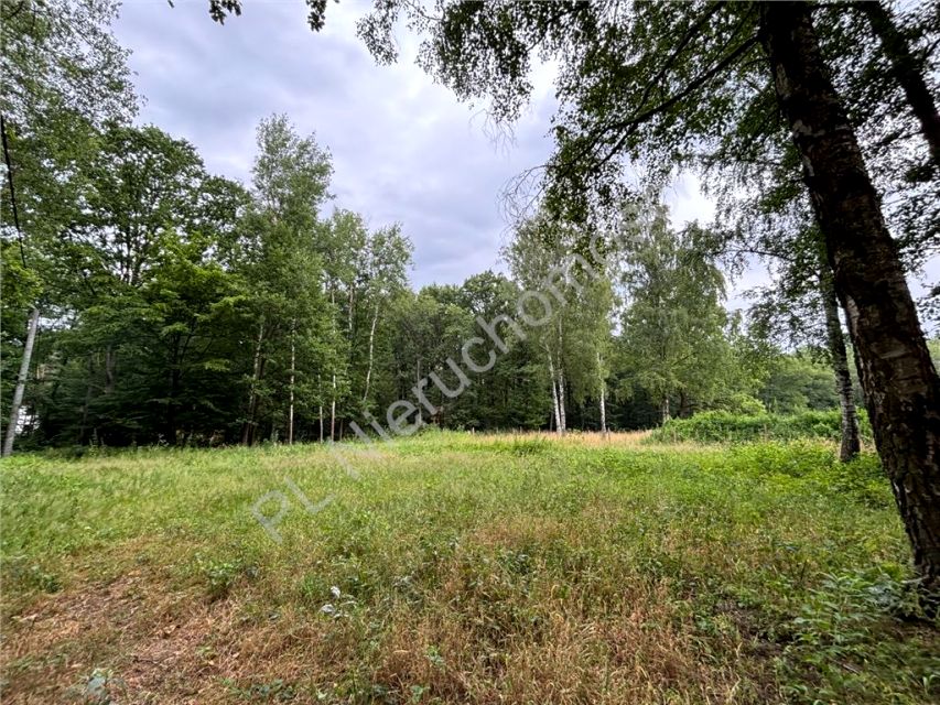 Działka Adamów-Wieś