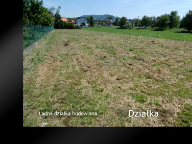 Działka budowlana Żywiec
