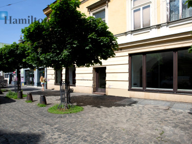 Lokal Kraków