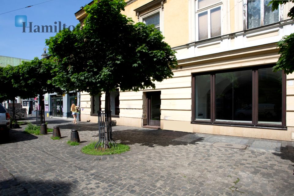 Lokal Kraków
