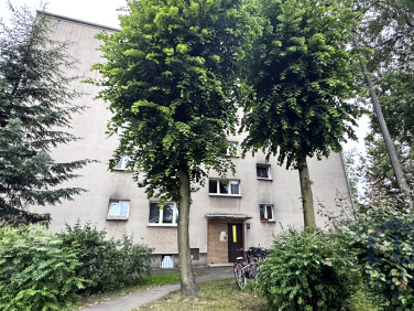 Mieszkanie blok mieszkalny wynajem