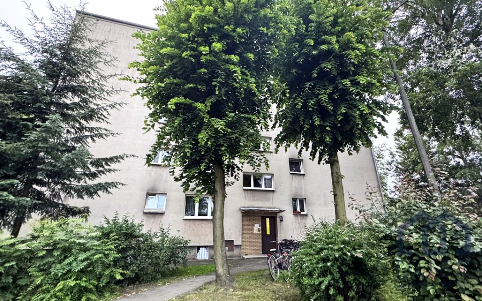 Mieszkanie blok mieszkalny wynajem