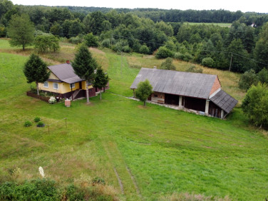 Dom Nowy Borek