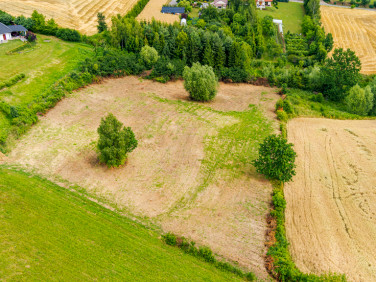 Działka Tuchów