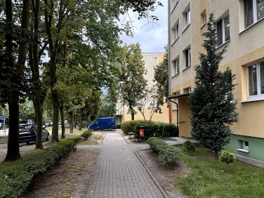 Mieszkanie Pabianice