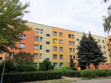 Mieszkanie Radom