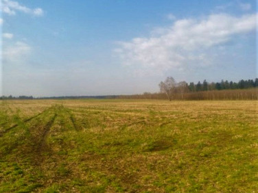 Działka inna Gałkówek-Parcela