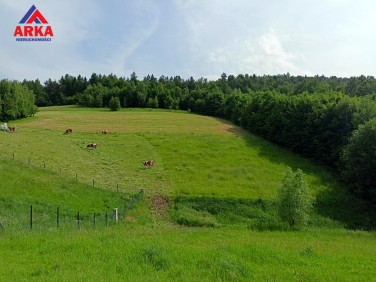 Pusta działka Pasierbiec