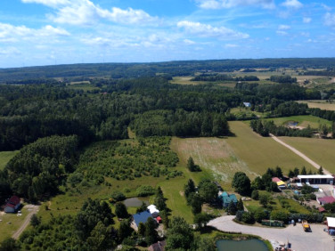 Działka Lisewiec