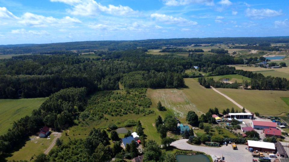 Działka Lisewiec