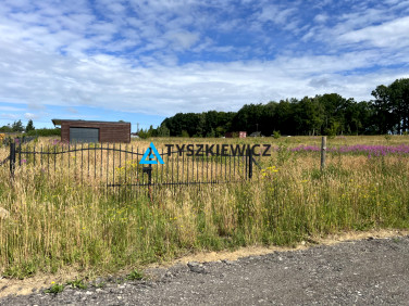 Działka inna Pępowo