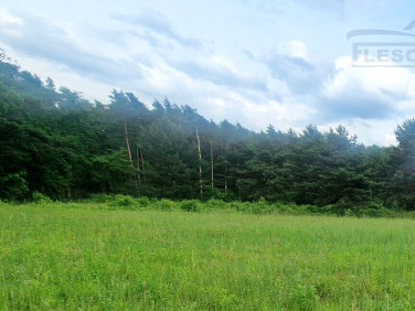 Działka budowlana Czarny Las