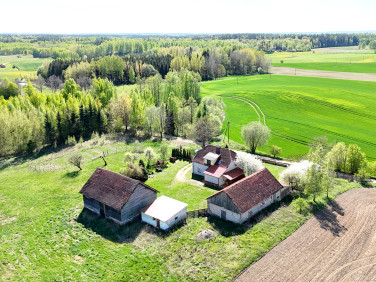 Dom Żywki