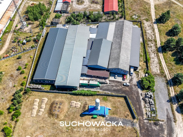 Budynek użytkowy Jasień