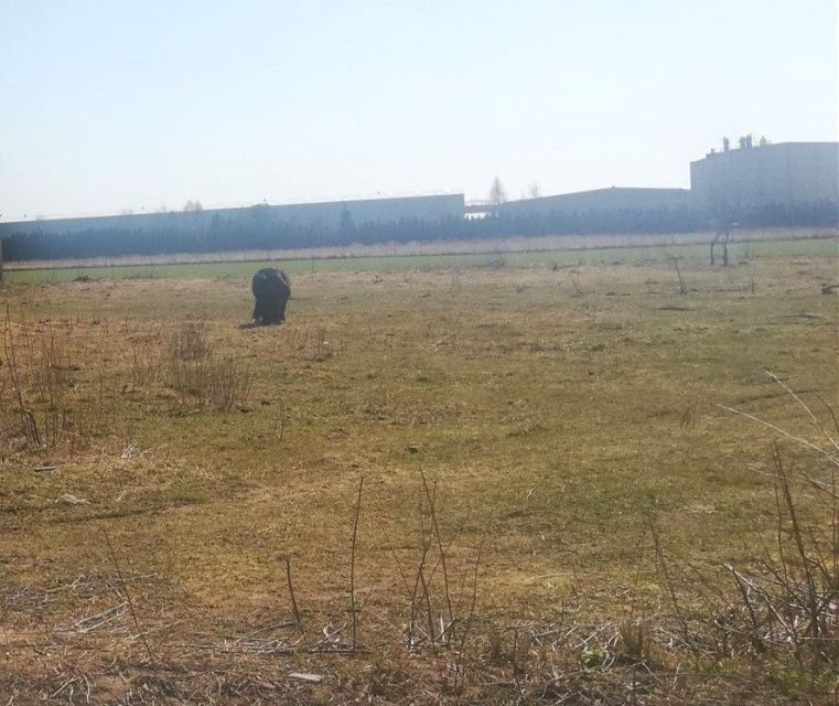 Działka inna Teolin