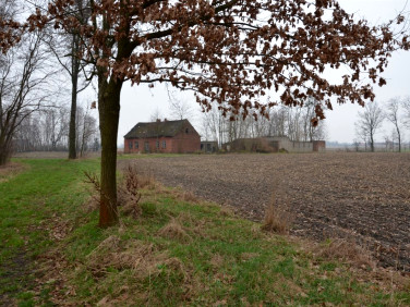 Działka siedliskowa Zelgoszcz