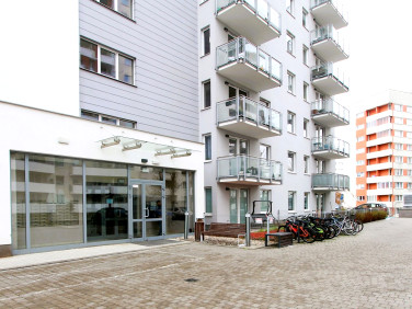 Lokal Gdańsk