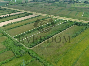 Działka Gnieżdżewo