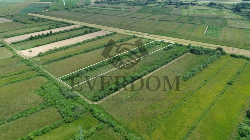 Działka Gnieżdżewo