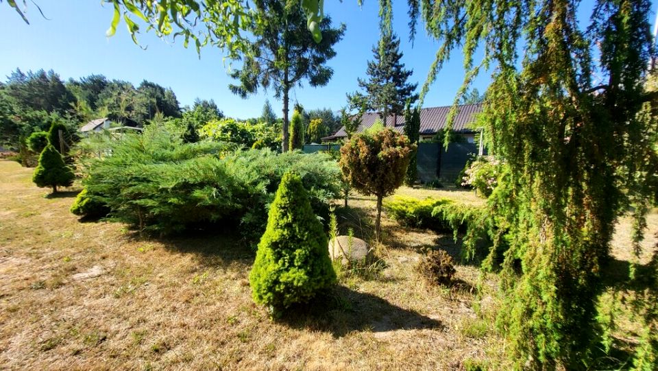 Działka Świerczyna