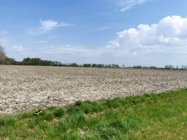 Działka usługowa Brzeziny