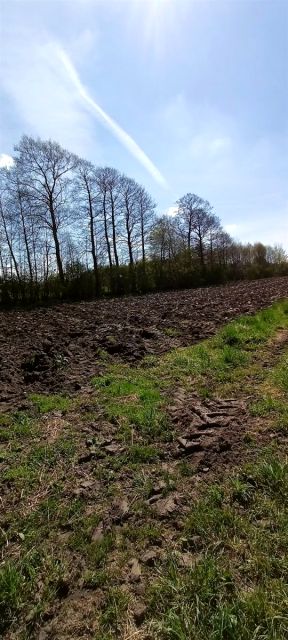 Działka inna Aleksandrów Łódzki