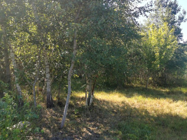 Działka inna Karsznice