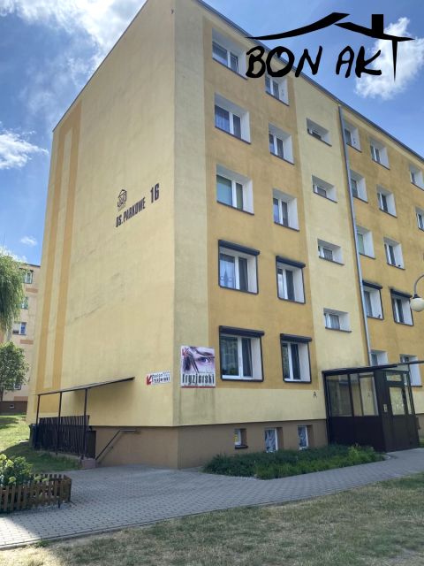 Lokal Czarnków