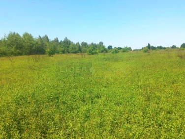 Działka budowlana Dziekanów Polski