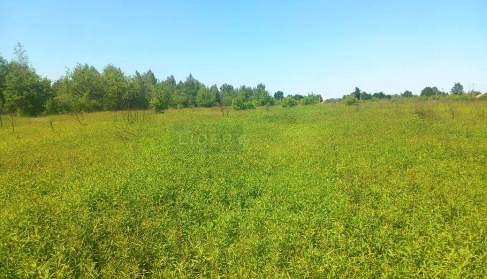Działka budowlana Dziekanów Polski