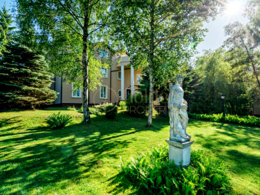 Lokal Jastrzębia Góra sprzedaż