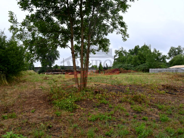 Działka budowlana Krasiejów