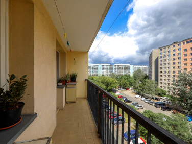 Mieszkanie Wrocław wynajem