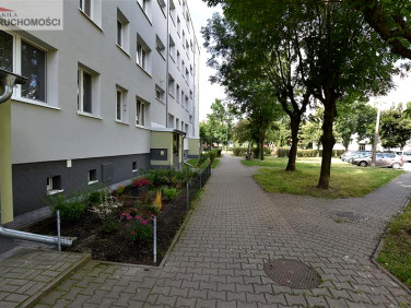Mieszkanie Płońsk