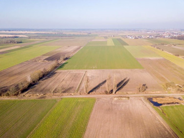 Działka siedliskowa Przybyszewo