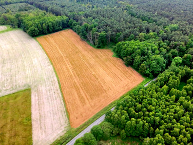 Działka rolna Grotów