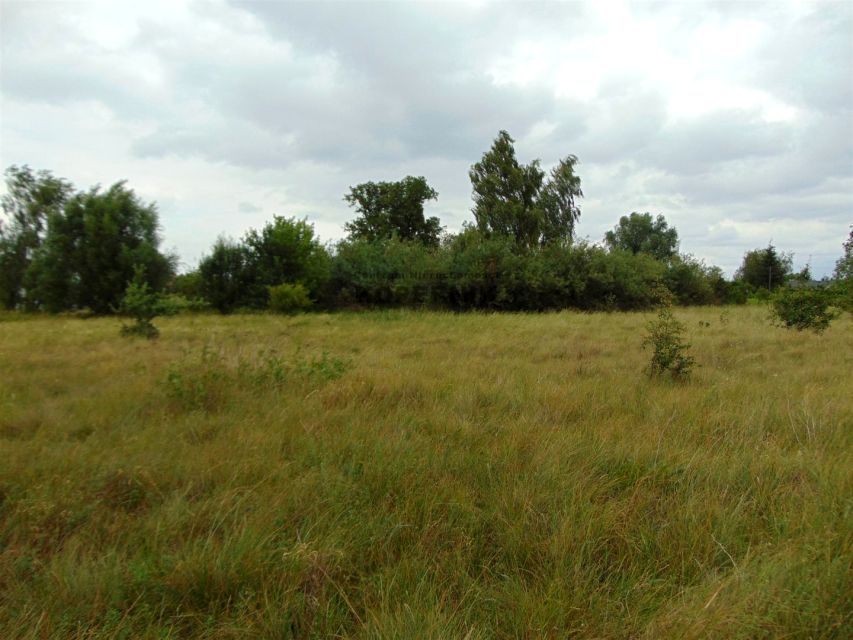 Działka Solec Kujawski