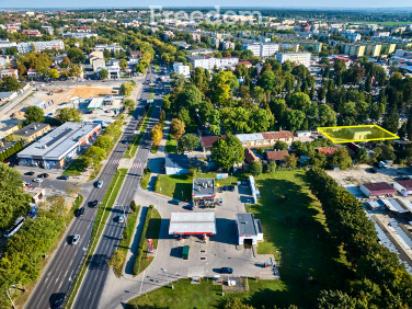 Lokal Chełm